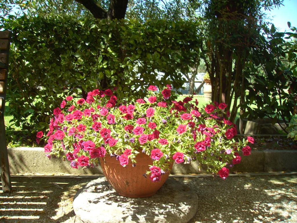 Tenuta Fagnani Lucques Chambre photo
